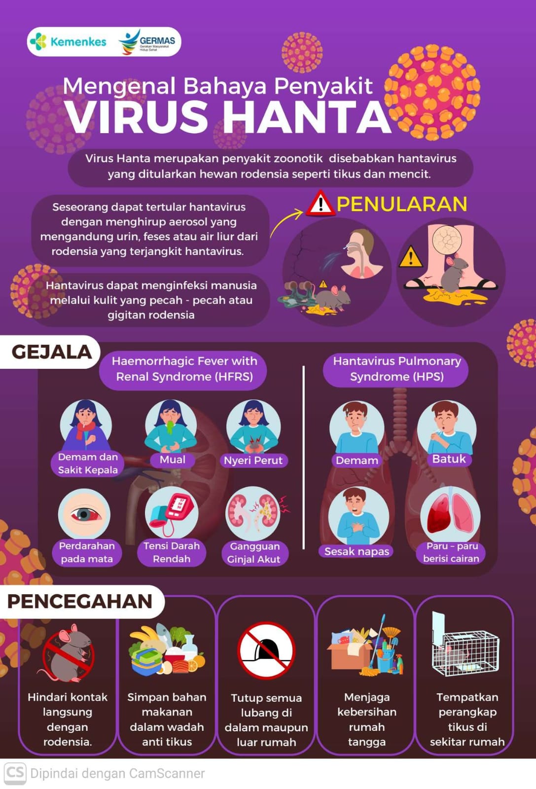 Waspada Virus Hanta !!